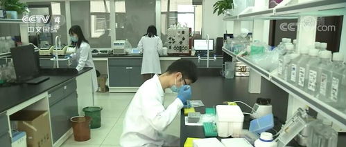 新闻观察 中国积极推进多路径新冠肺炎药物研发